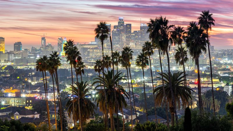 Los Angeles skyline and downtown with palm trees at sunset in Ela Park California United States