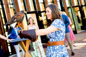 A woman holding a falcon on her gloved hand at an outdoor venue with people in the background