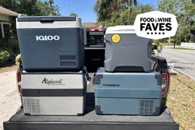 four coolers from Igloo, Alipicool, and Dometic 