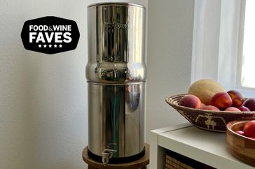 Boroux Legacy Gravity-Fed Countertop Stainless Steel Water Filter System on a light green background