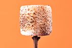 Closeup of a roasted marshmallow on a stick against an orange background