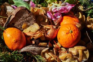 A collection of compostable organic materials, including orange peels, bread, and plant material