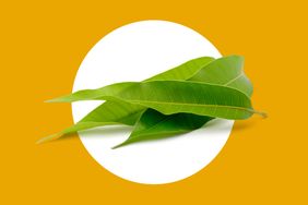 Mango leaves arranged against a yellow and white background