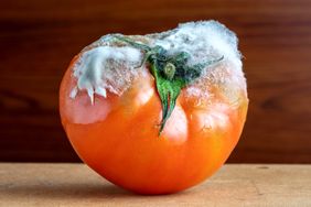Tomato covered in mold on a wooden surface