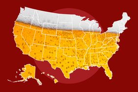A US map design filled with an illustration of beer and foam overlaying the states