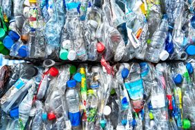 Bales of compressed plastic bottles in a recycling facility