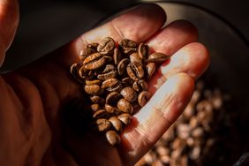 A hand holding roasted coffee beans with more beans visible in the background